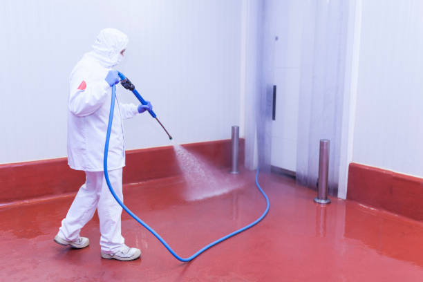 Best Graffiti Removal  in St Vincent College, PA